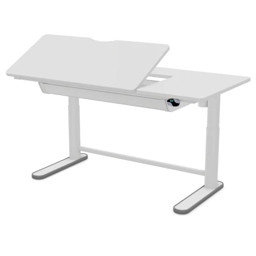 ERGO Elektrisch verstellbarer Schreibtisch